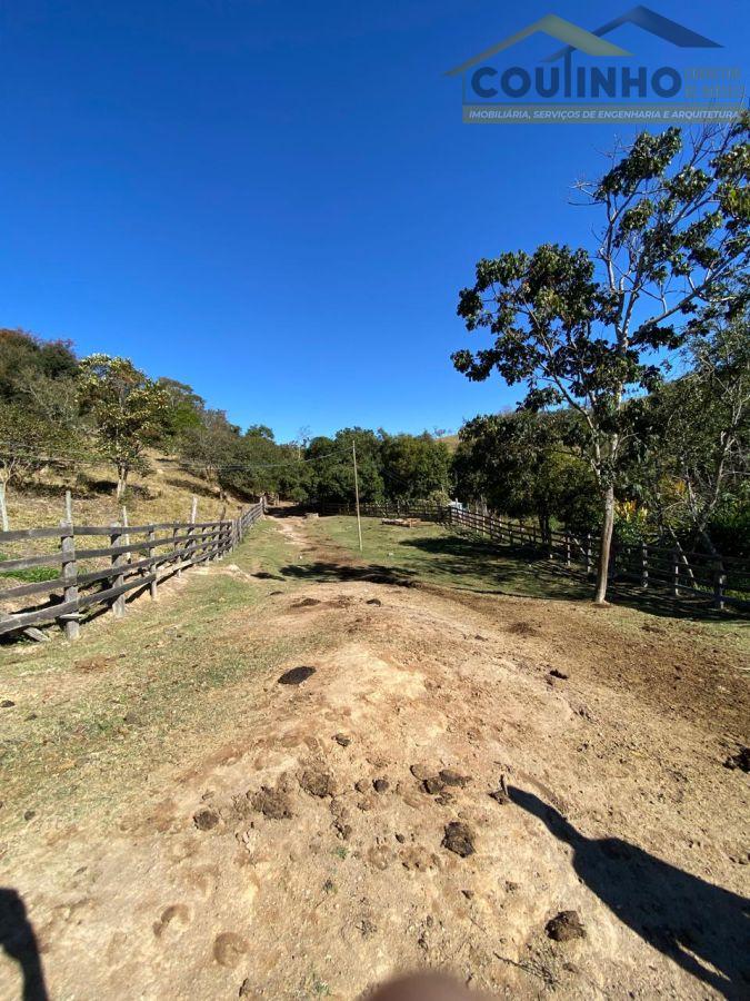 WhatsApp Image 2025-08-01 at 09.06.31 (30).jpeg